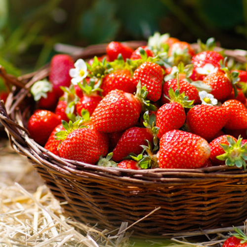 Regionale Erdbeeren