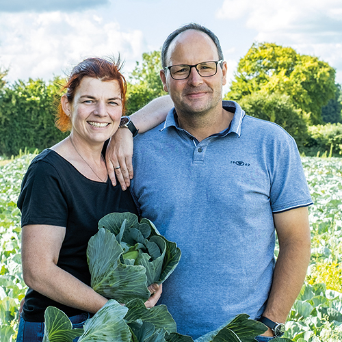 Regionale Salate & Grobgemüse