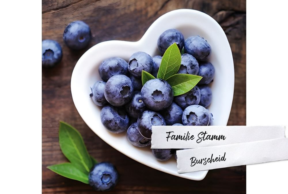 Blaubeeren