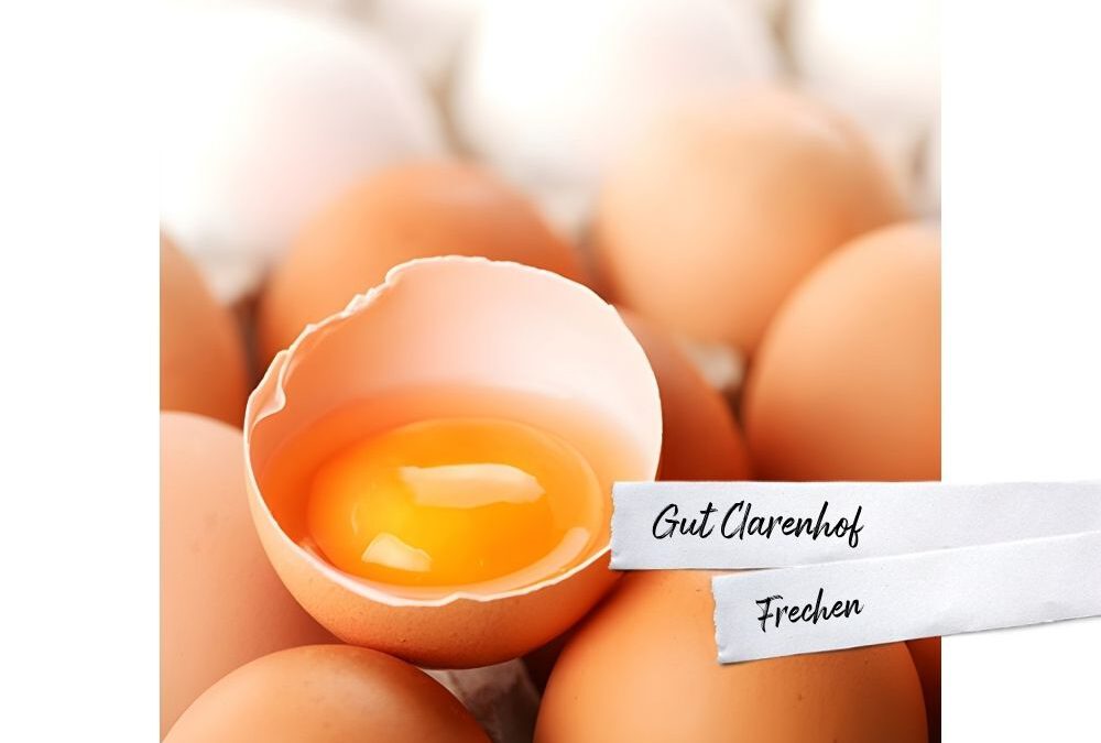 Eier