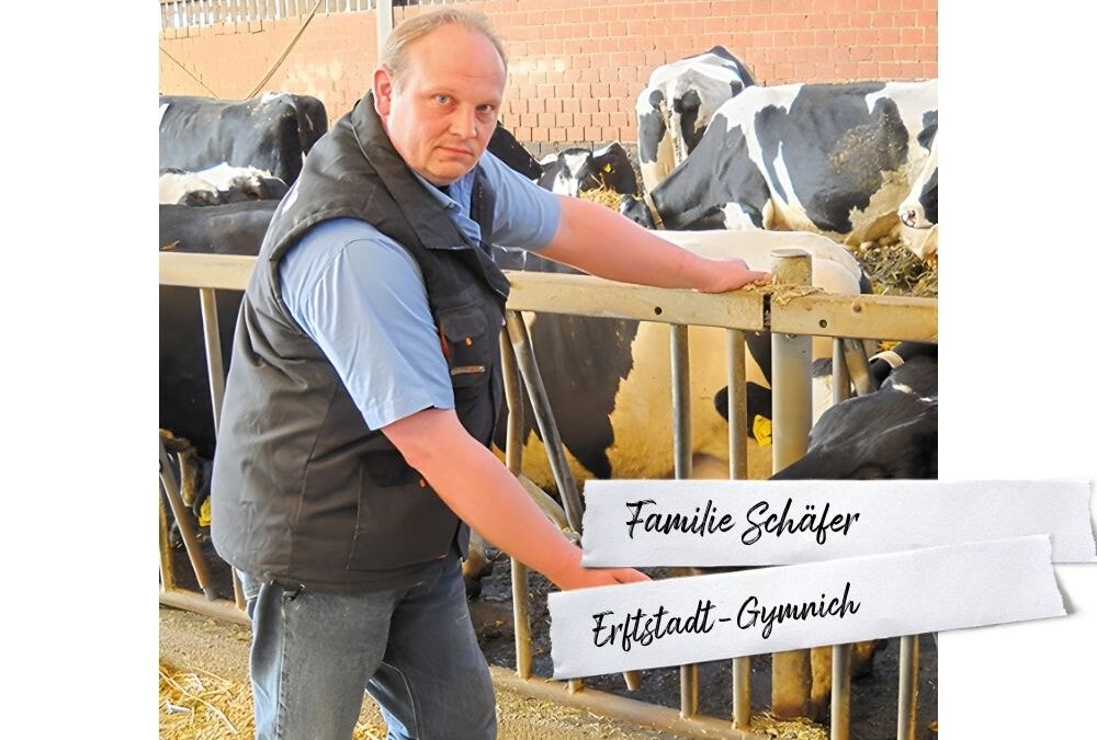 Milchprodukte
