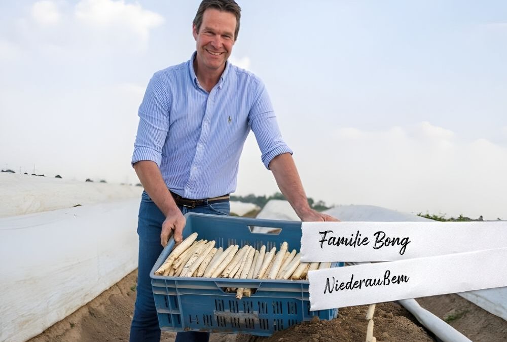 Spargel