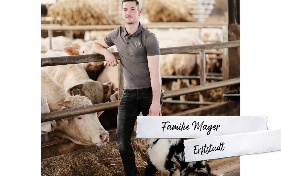Regionales Rindfleisch